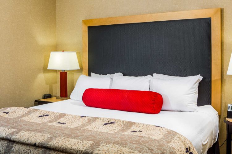 Cambria Hotel & Suites Raleigh-Durham Airport , NC 27560 near Raleigh-durham International Airport View Point 5