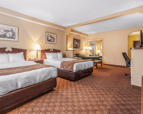 Comfort Suites Airport Alcoa , TN 37701 near Mcghee Tyson Airport View Point 6