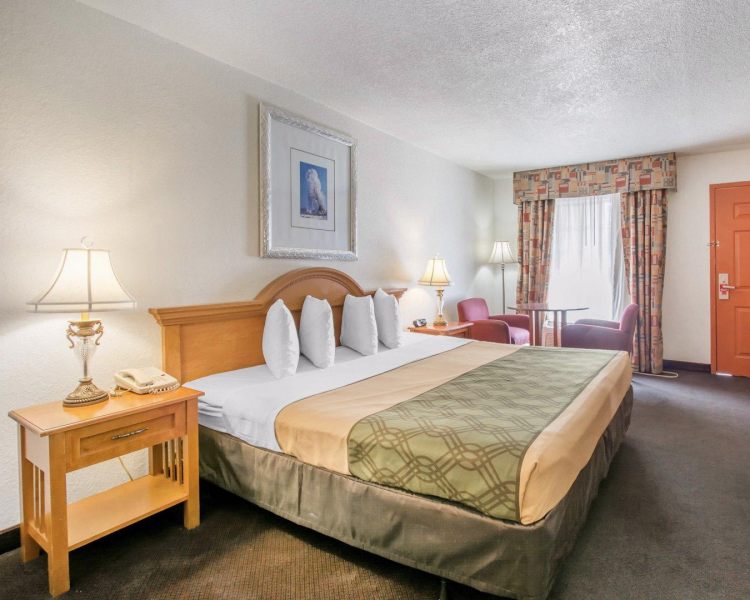 Econo Lodge Airport At RJ Stadium Tampa , FL 33614 near Tampa International Airport View Point 5