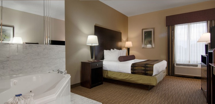 Best Western Plus O\'Hare International South Hotel , IL 60131 near Ohare International Airport View Point 7