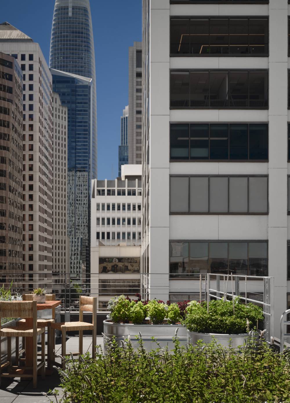 1 Hotel San Francisco 4