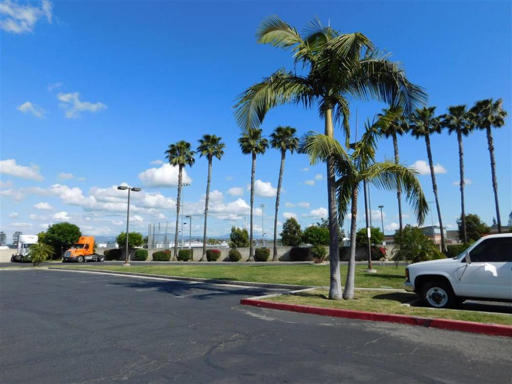 Best Western Plus Anaheim Orange County Hotel 5