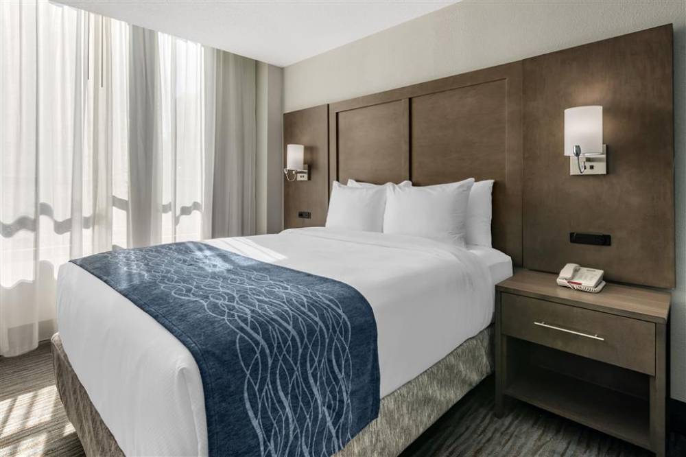 Comfort Inn And Suites Downtown-port Of Miami 10