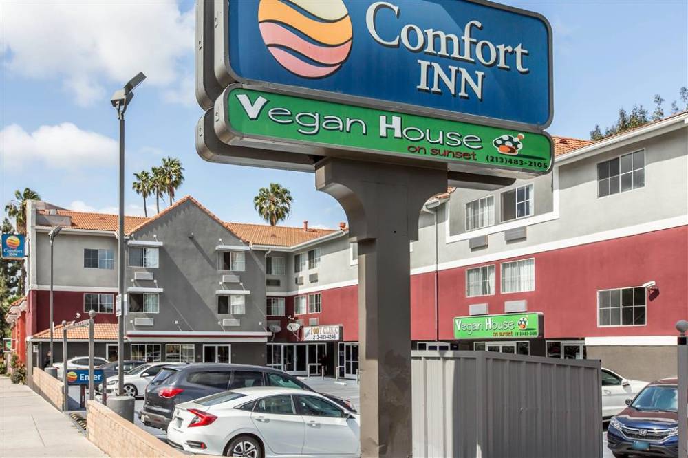 Comfort Inn Los Angeles Near Hollywood 2