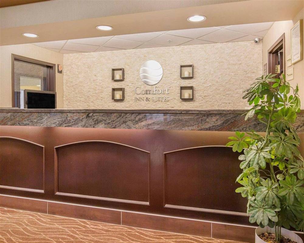 Comfort Inn & Suites University 4