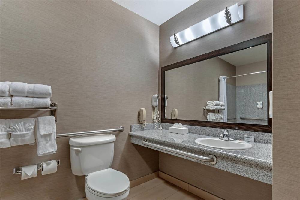 Comfort Suites Boise West Meridian 10