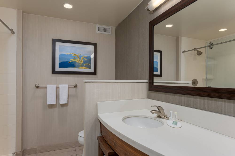 Courtyard By Marriott Asheville Airport 4