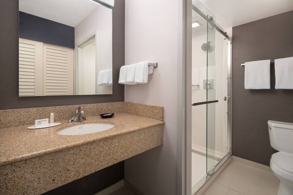 Guest Bathroom - Walk-In Shower