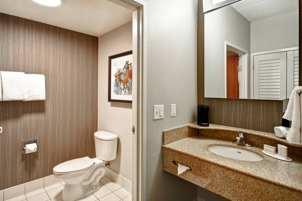 Courtyard By Marriott Louisville Airport 2