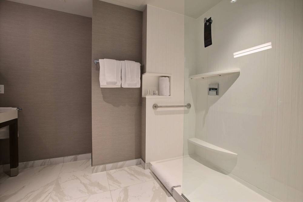 Guest Bathroom - Walk-In Shower