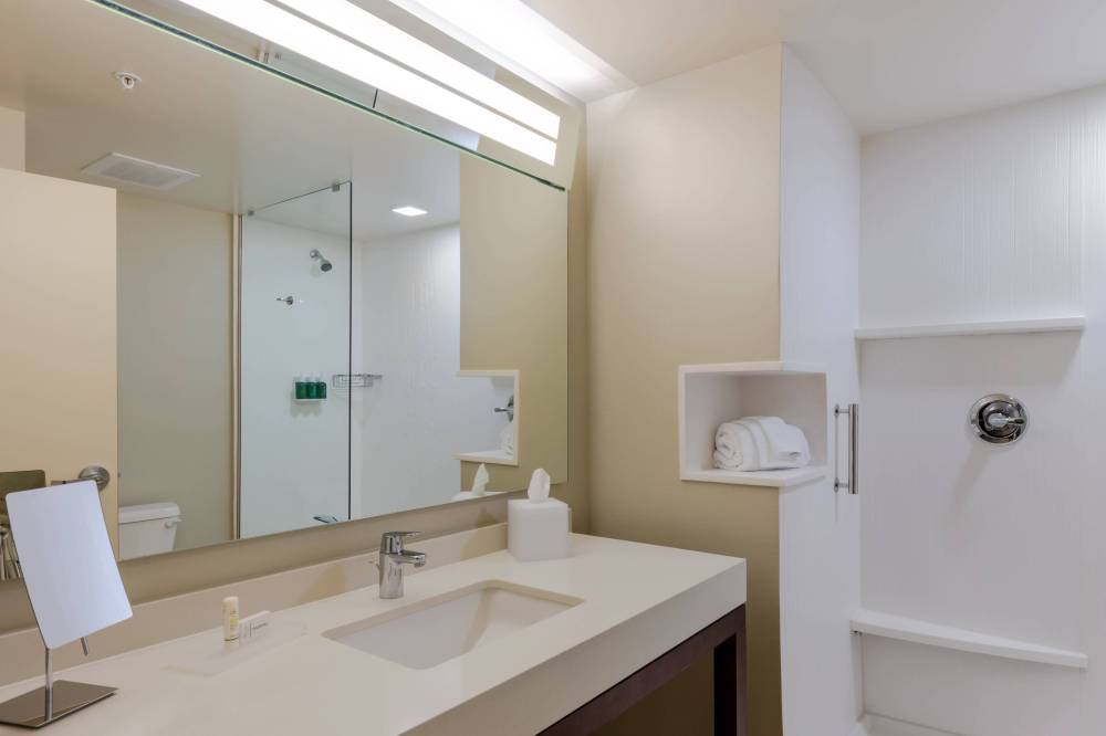 Guest Bathroom - Shower
