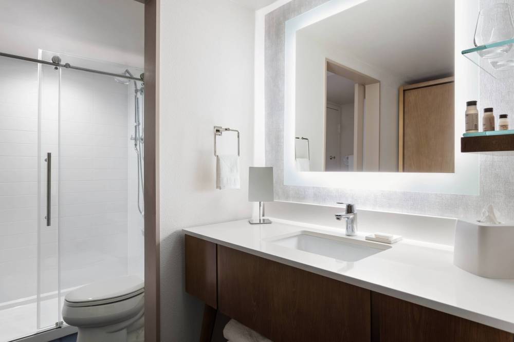 Guest Bathroom - Shower
