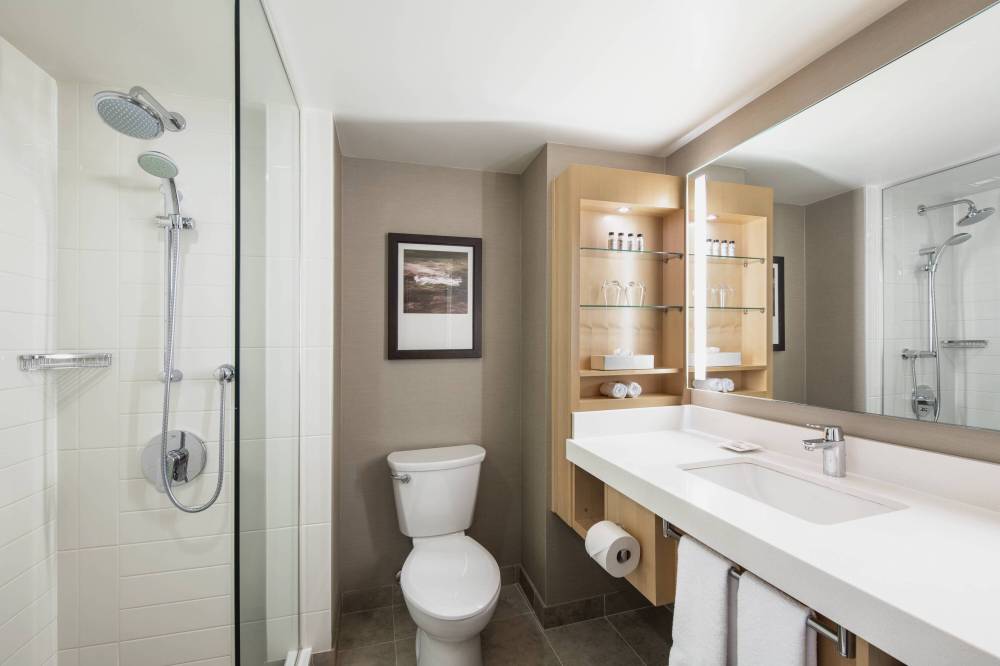 Delta Hotels By Marriott Winnipeg 4
