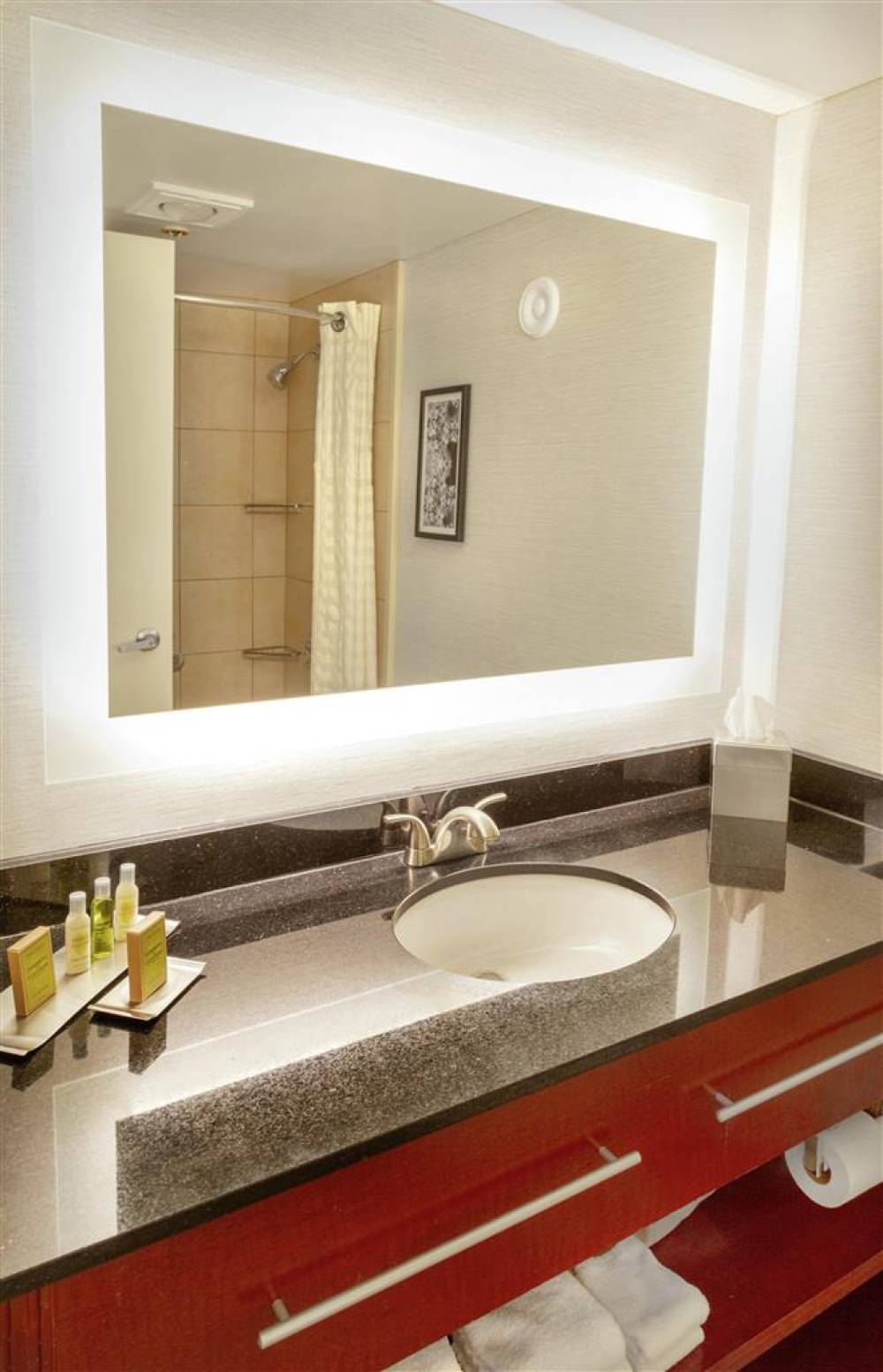 Doubletree By Hilton Charlottesville 8