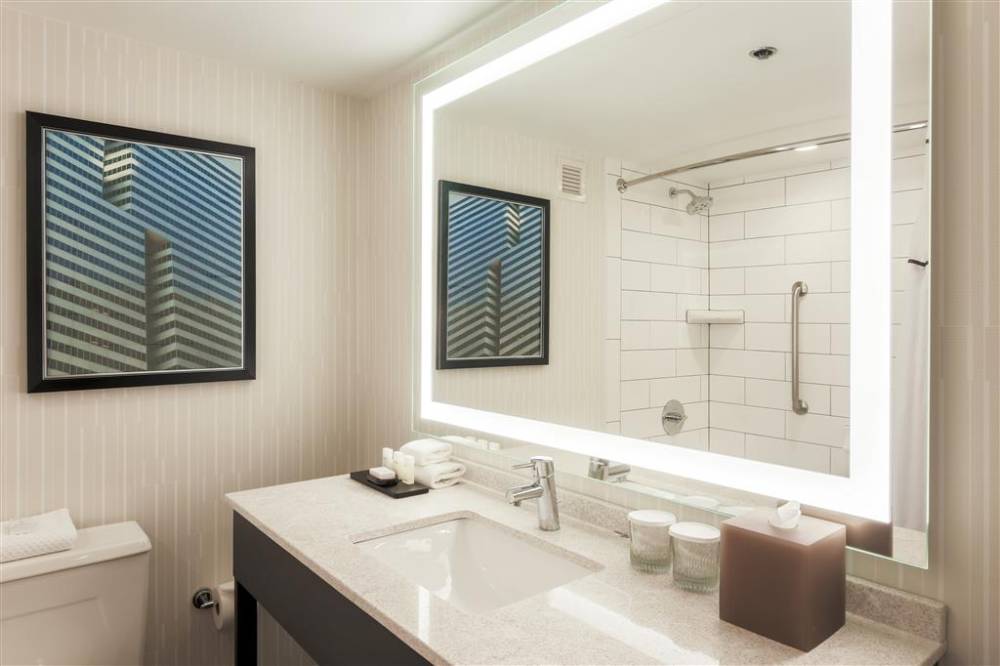 Embassy Suites By Hilton Dallas Love Field 10