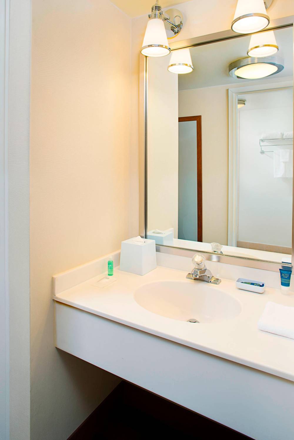 Guest Bathroom- Vanity