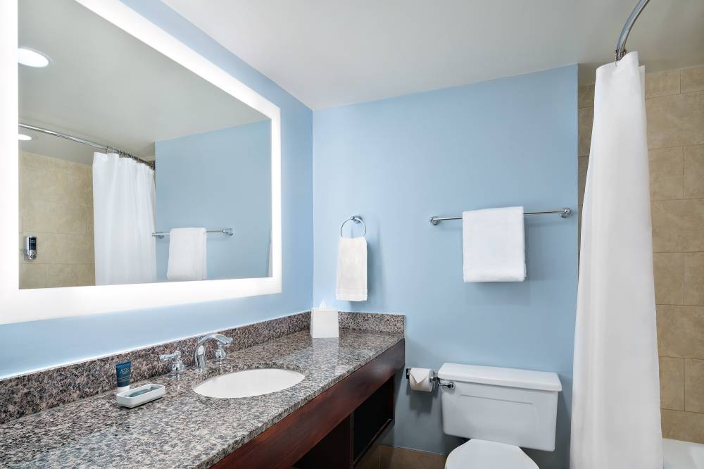 Guest Bathroom - Shower/Tub