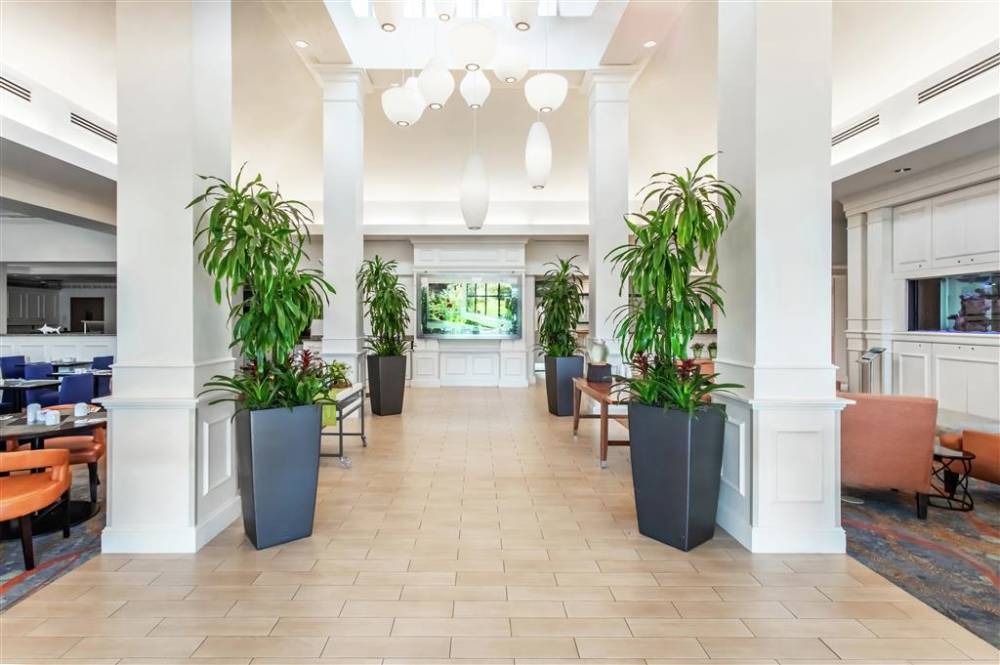 Hilton Garden Inn Orlando At Seaworld 3