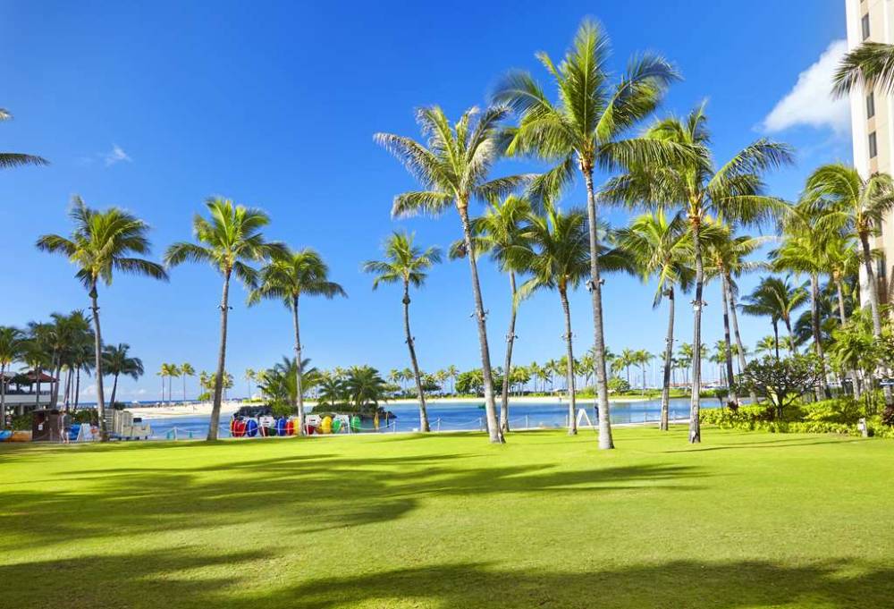 Hilton Hawaiian Village Waikiki Beach Resort 5