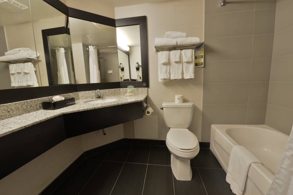 Holiday Inn Downtown 4