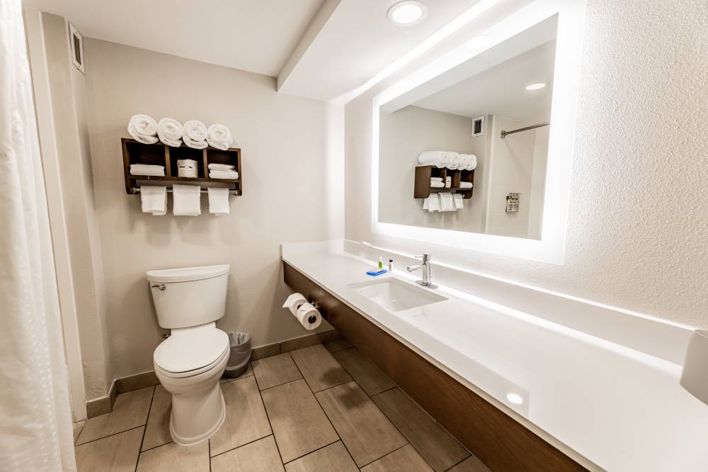 Holiday Inn Exp South 3