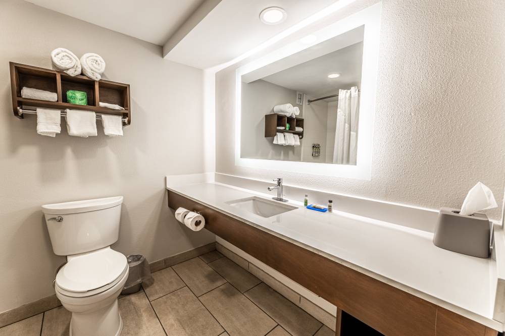 Holiday Inn Exp South 5