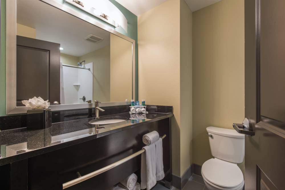 Holiday Inn Exp Stes Central 6