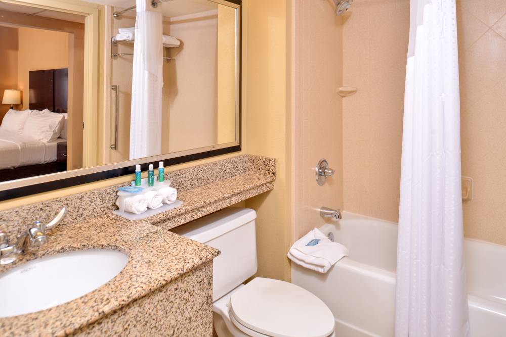 Holiday Inn Exp Stes Downtown 3