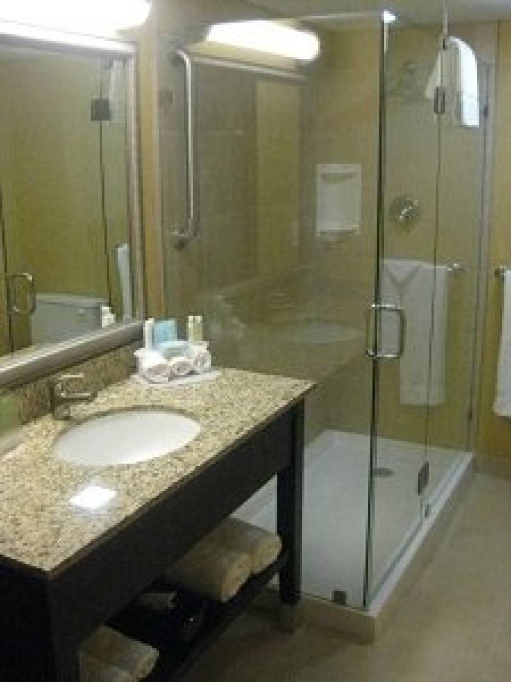 Holiday Inn Exp Stes N Exec Ai 7