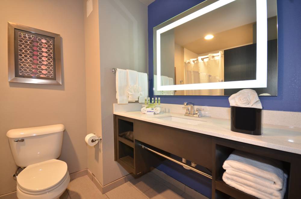 Holiday Inn Exp Stes South 7