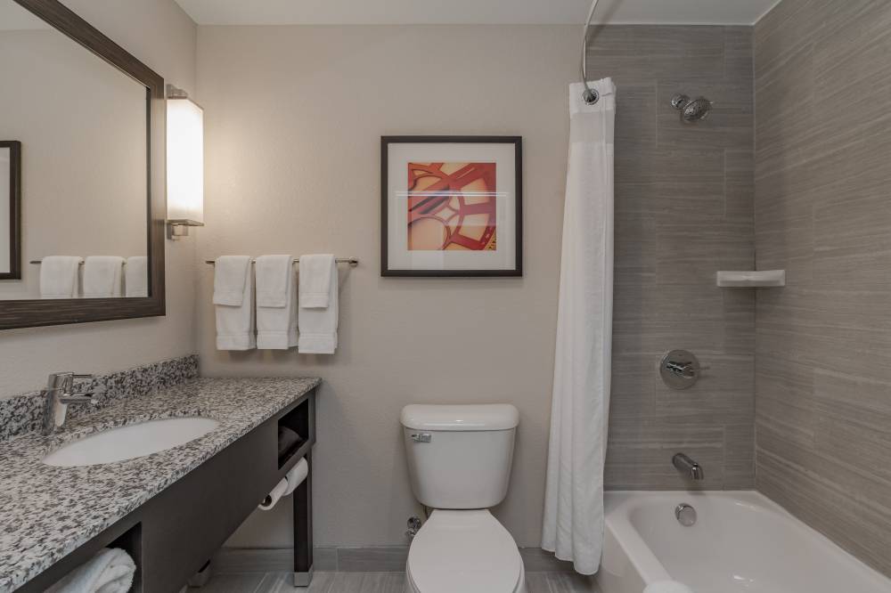 Holiday Inn Mishawaka 2