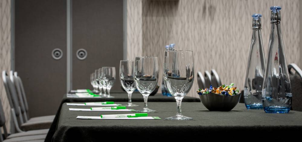 Holiday Inn South Evario 9