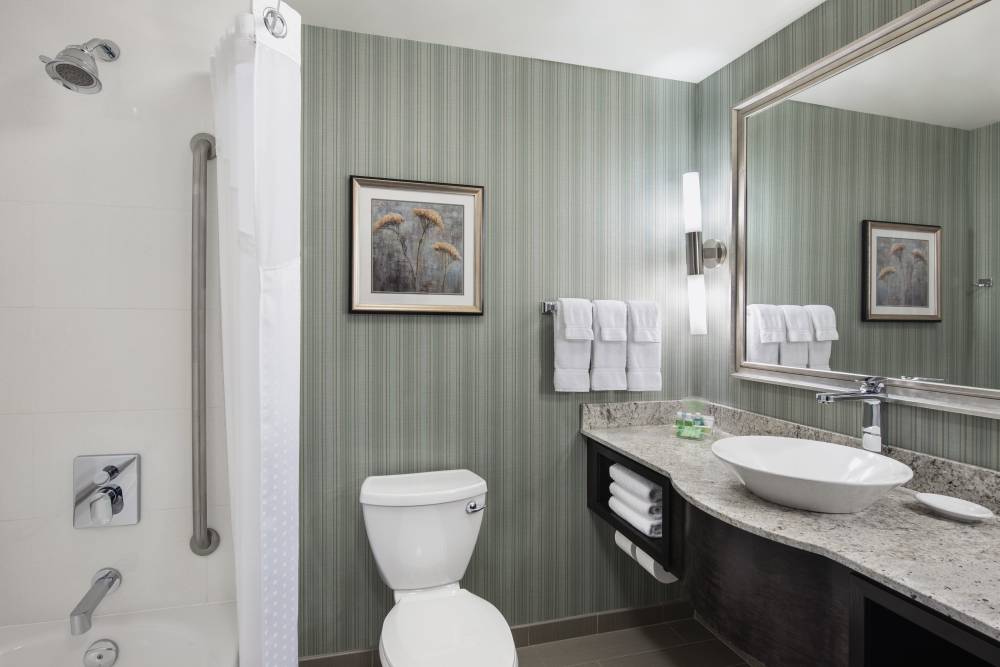 Holiday Inn Stes Saskatoon Dwt 10