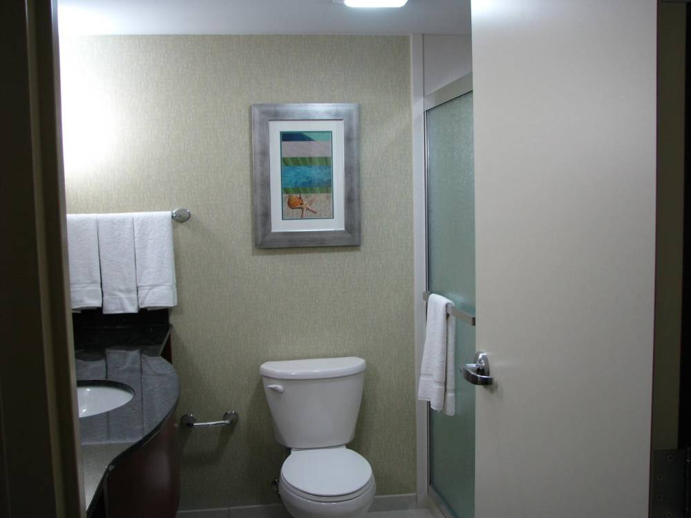 Holiday Inn Stes Virginia Beac 4