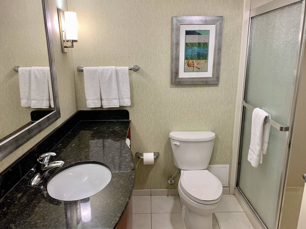Holiday Inn Stes Virginia Beac 9