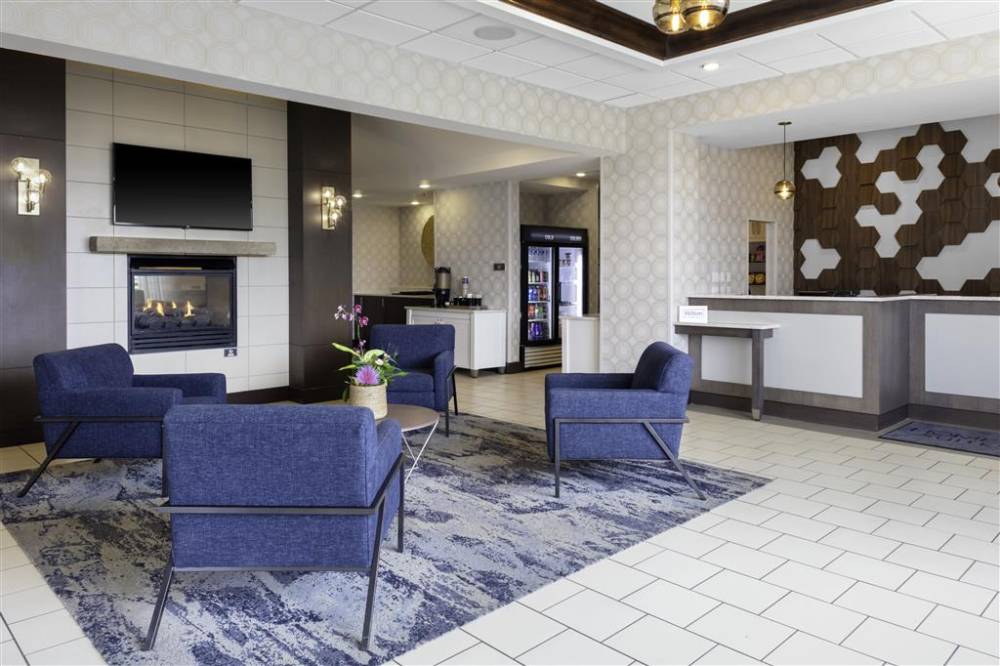 Homewood Suites By Hilton St. Louis - Galleria 3