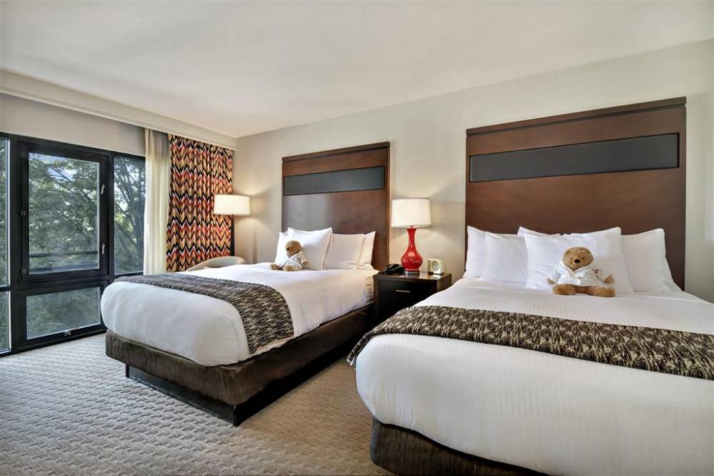 Hotel 43 7