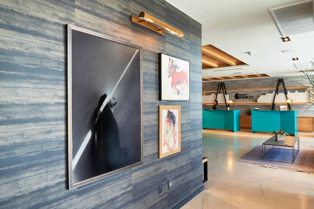 Hotel Indigo Downtown 6