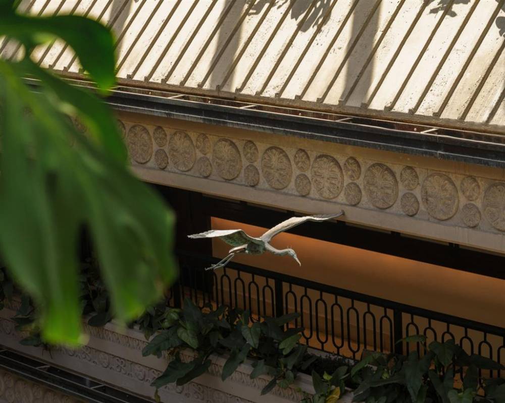 Mayfair House Hotel And Garden 4