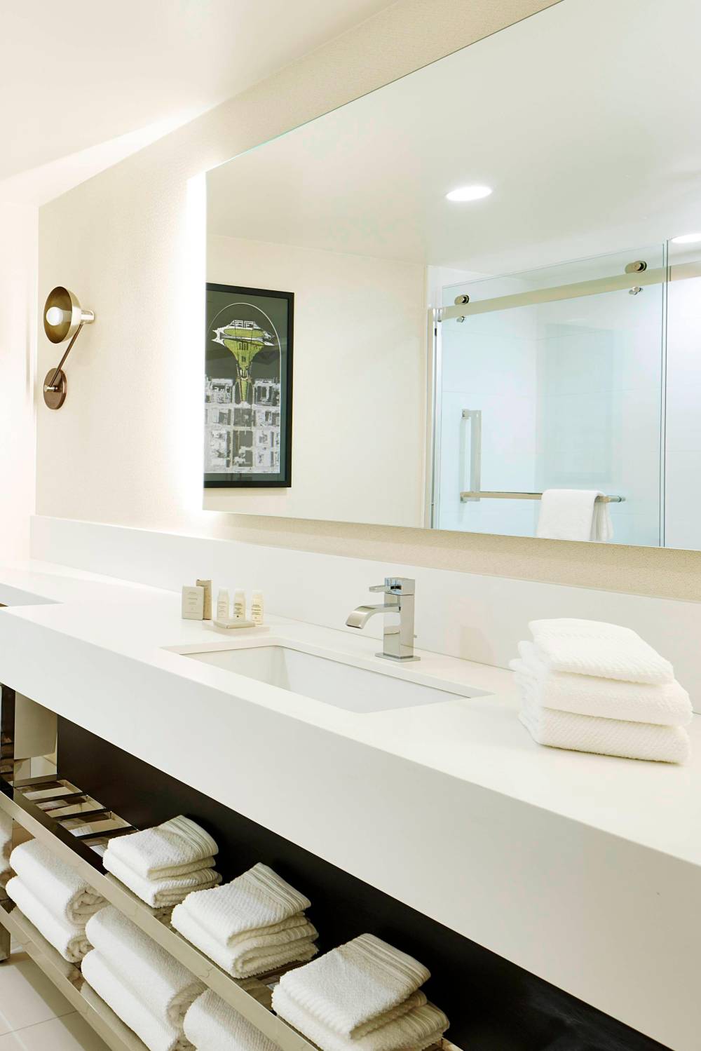Guest Bathroom - Walk-In Shower