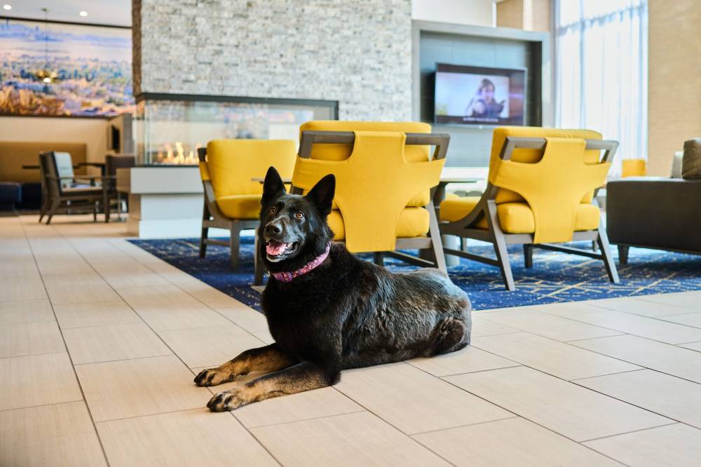 Residence Inn By Marriott Berkeley 4