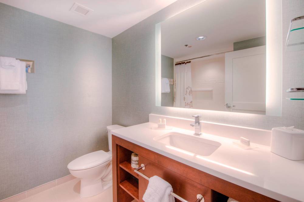 One-Bedroom Suite - Bathroom