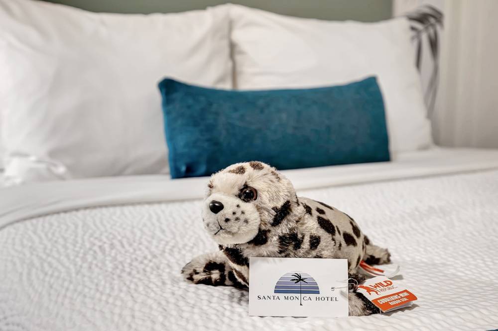 Santa Monica Hotel 6