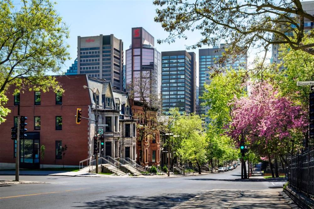 SENS Neighbourhood OCT