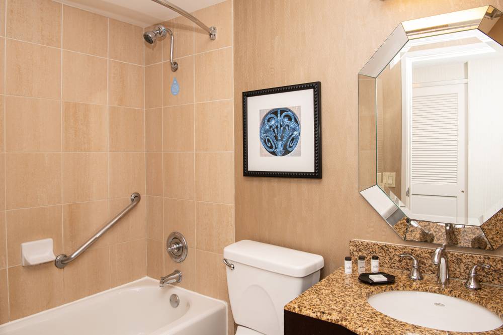 Sheraton Mission Valley San Diego Hotel 3