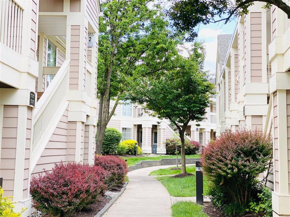 Sonesta Es Suites Dulles 4