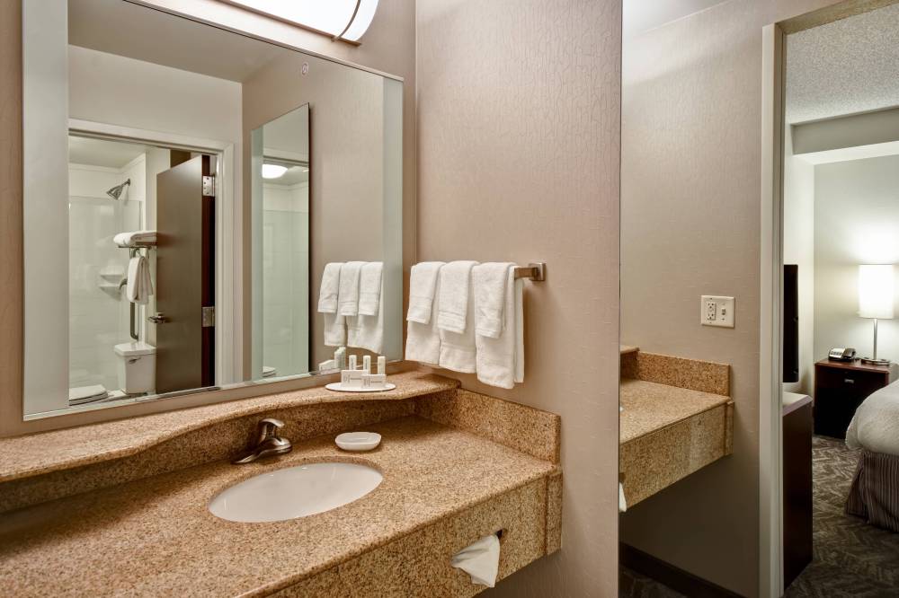 Suite Bathroom - Vanity