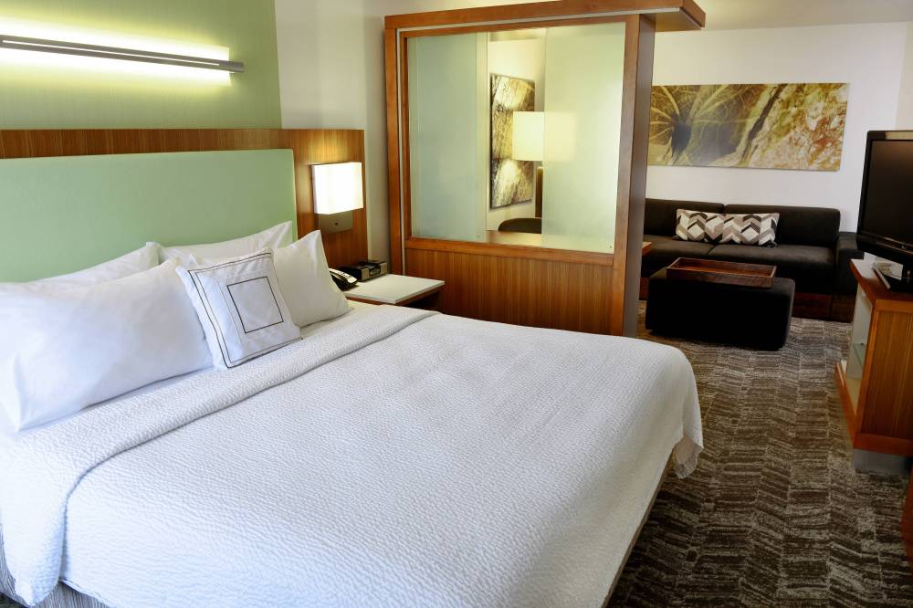 Springhill Suites By Marriott Sioux Falls 5