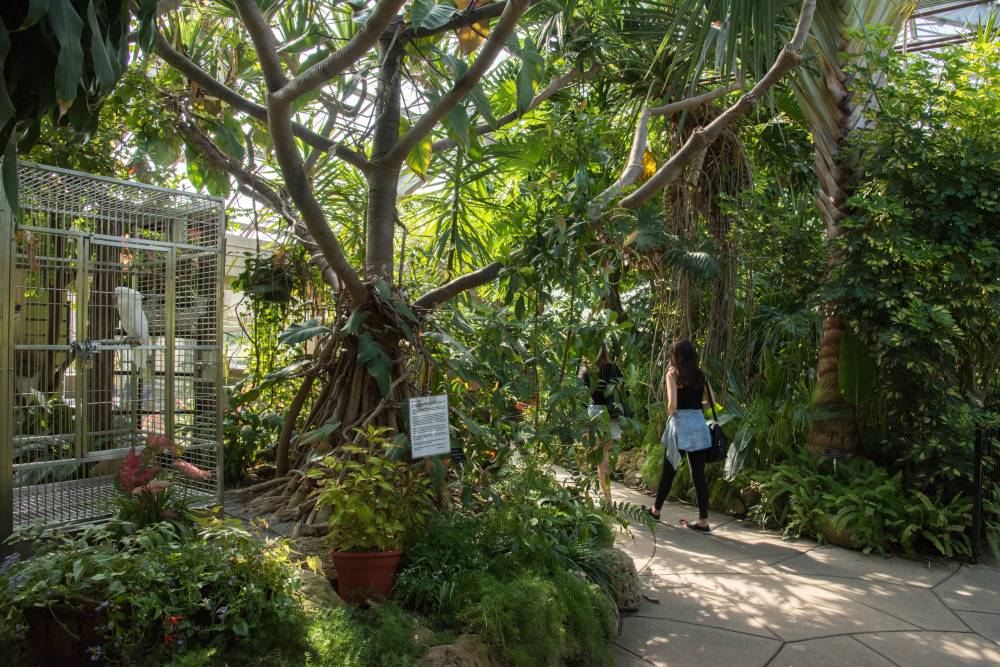 Staybridge Stes Airport East By Ihg 7