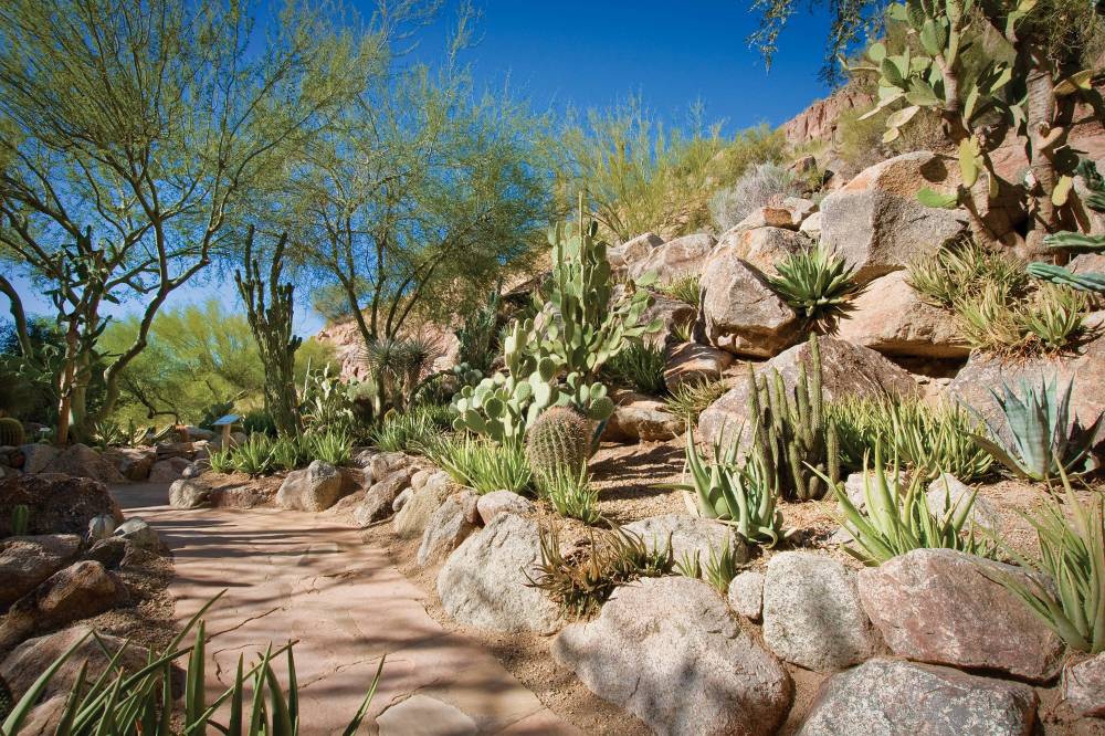 The Canyon Suites At The Phoenician A Luxury Collection Resort Scottsdale 2